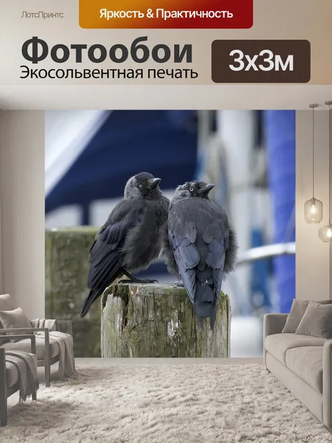 Фотообои Птицы
