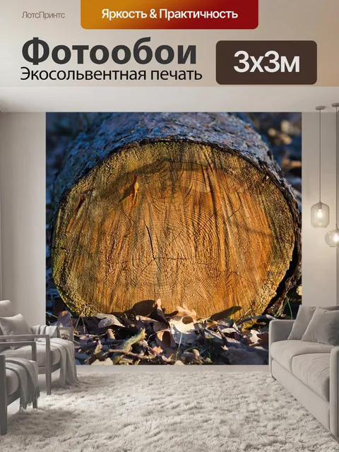 Фотообои Ствол дерева