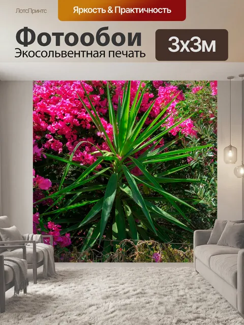 Фотообои Природа Крита