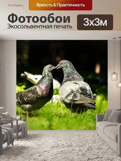 Фотообои Птицы