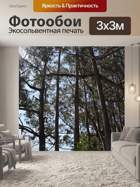 Фотообои Солнце сквозь деревья