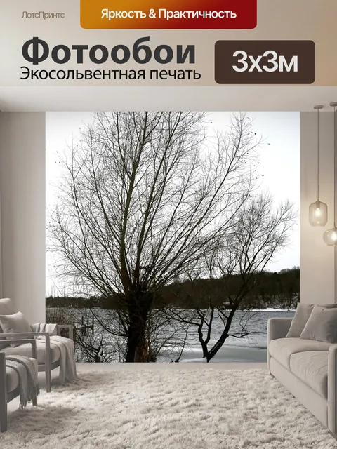 Фотообои Зима