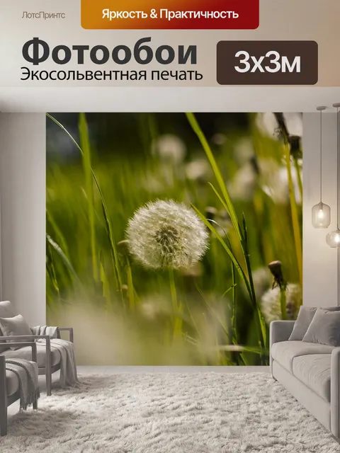 Фотообои Одуванчик