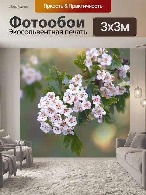 Фотообои Цветы боярышника на ветке фото