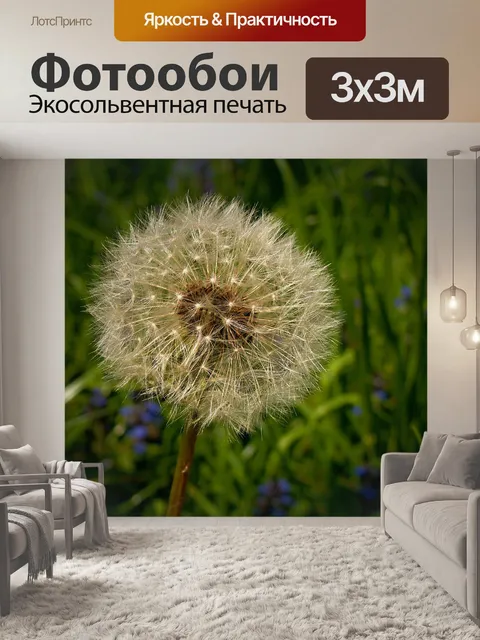 Фотообои Одуванчики