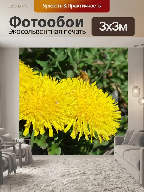 Фотообои Одуванчики