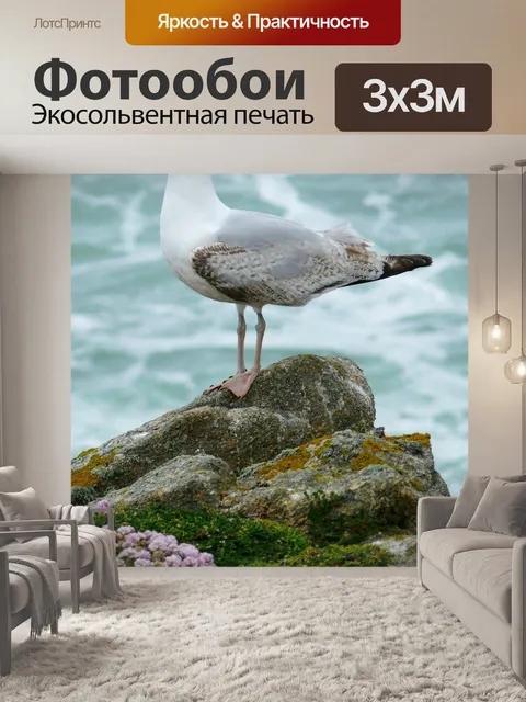 Фотообои Птица