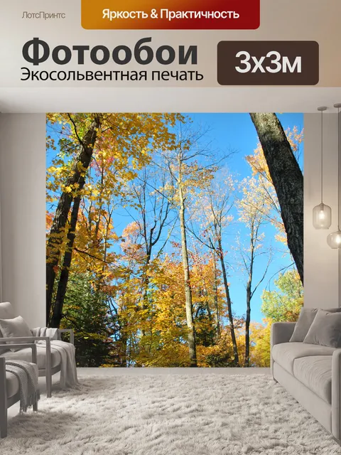 Фотообои Осенние деревья 01