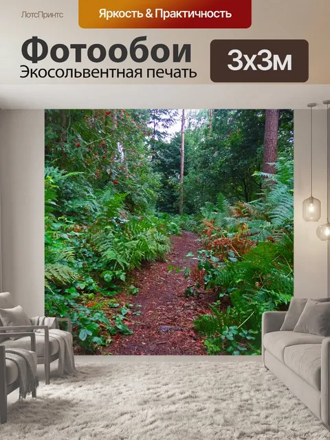 Фотообои Лесная тропа