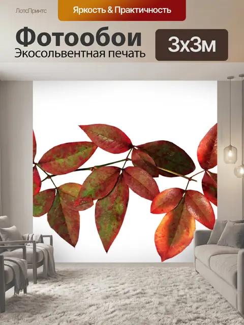 Фотообои Листья