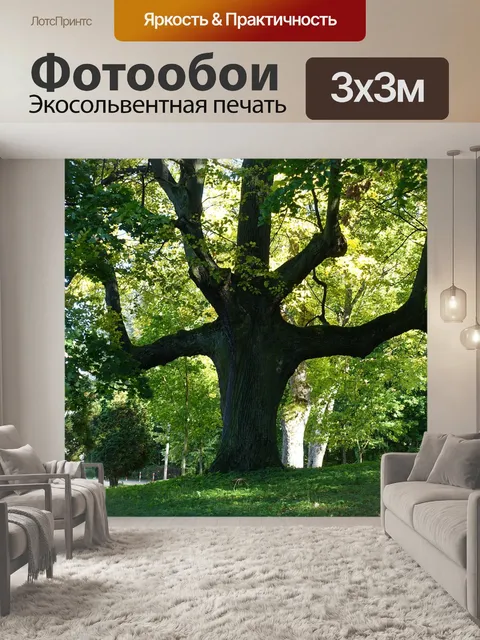Фотообои Дерево