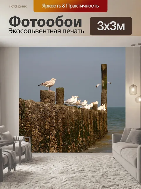 Фотообои Чайка