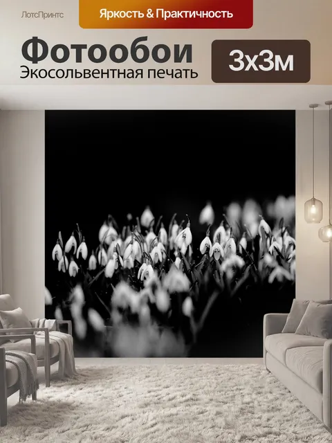 Фотообои Подснежники