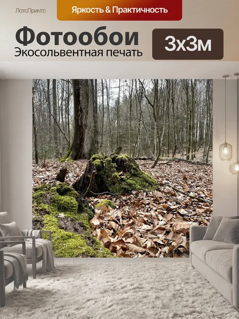 Фотообои Лес