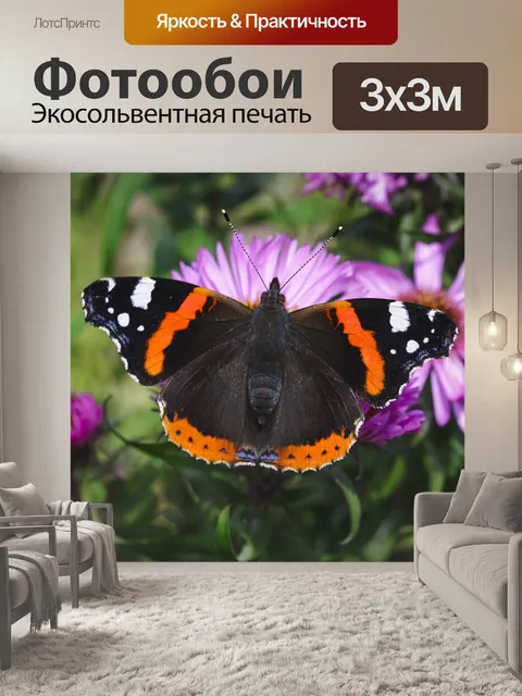 Фотообои Бабочка