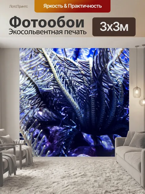 Фотообои Синий коралл