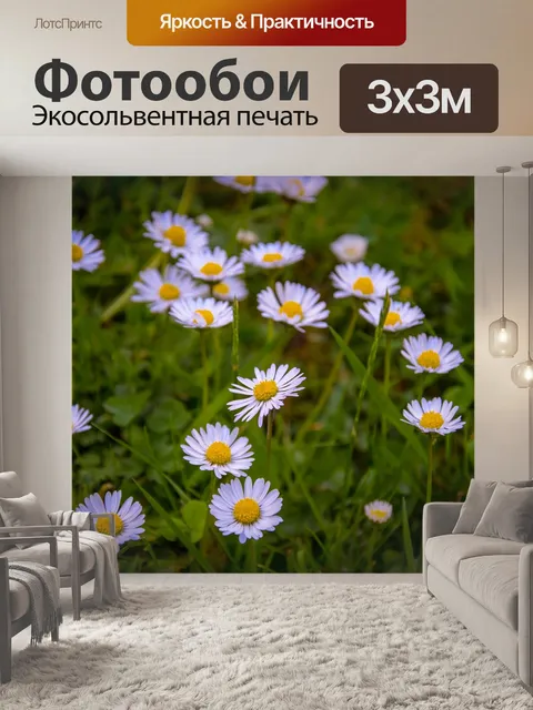 Фотообои Луг