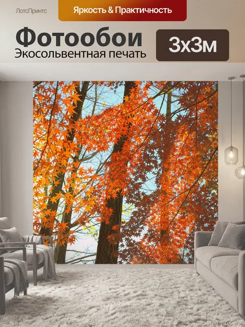 Фотообои Солнечные лучи