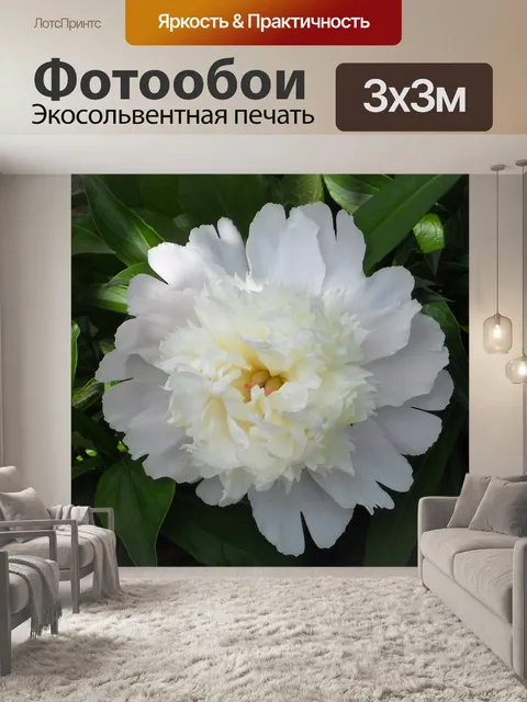 Фотообои Цветок