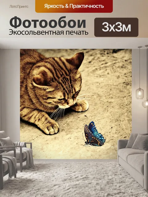 Фотообои Кот