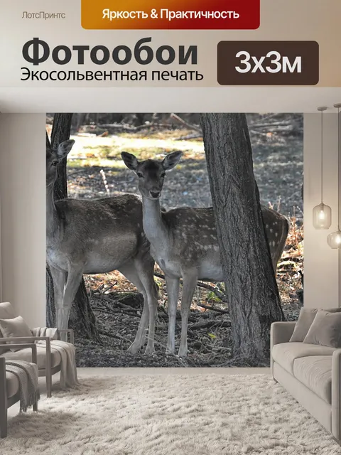 Фотообои Олень