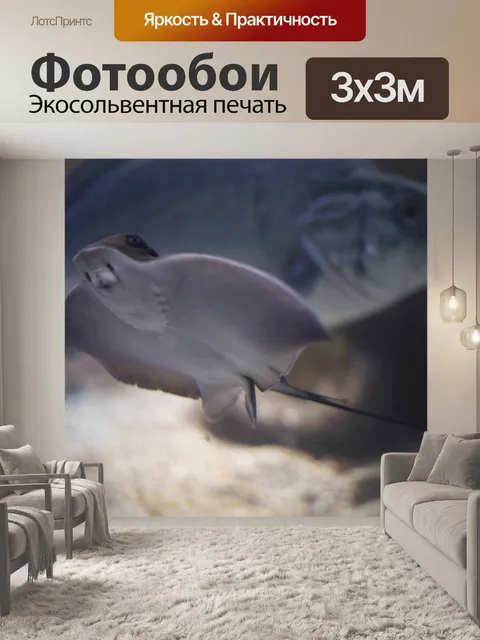 Фотообои Море