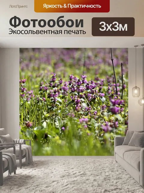 Фотообои Цветы