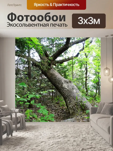 Фотообои Crooked Tree