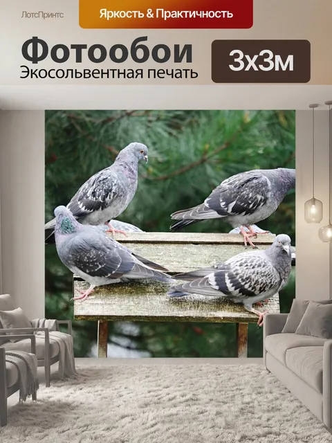 Фотообои Птицы