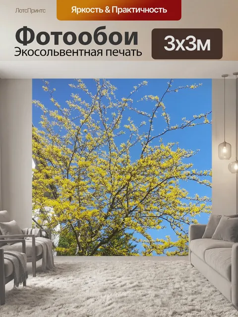Фотообои Цветы