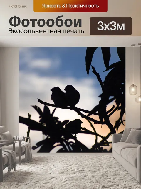 Фотообои Птицы