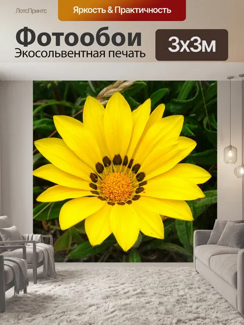 Фотообои Красивый желтый цветок лепестков
