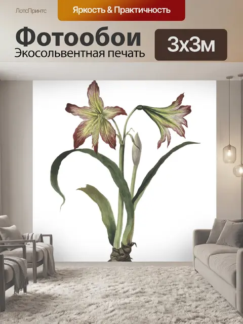 Фотообои Цветы