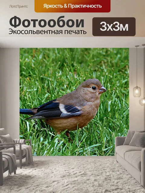 Фотообои Птица