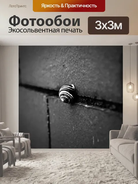 Фотообои Shell на стене