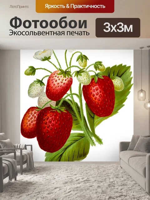Фотообои Еда