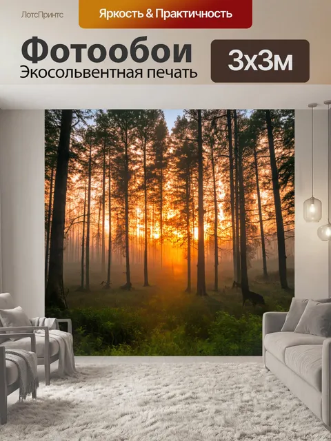 Фотообои лес с небесными красками заката, окрашивающими вечернюю дымку
