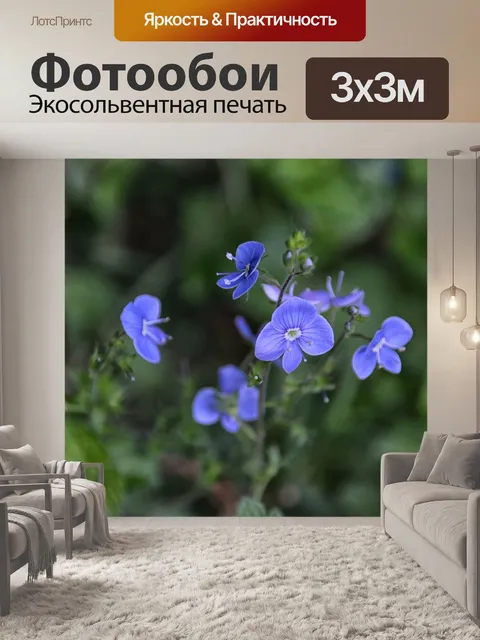 Фотообои Полевые цветы
