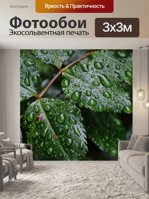Фотообои Розы