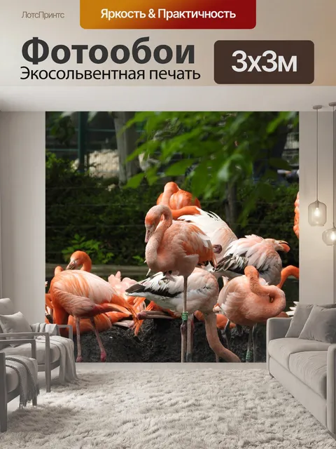 Фотообои Фламинго