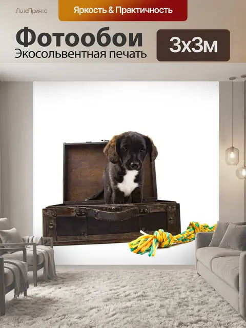 Фотообои Щенок с чемоданом