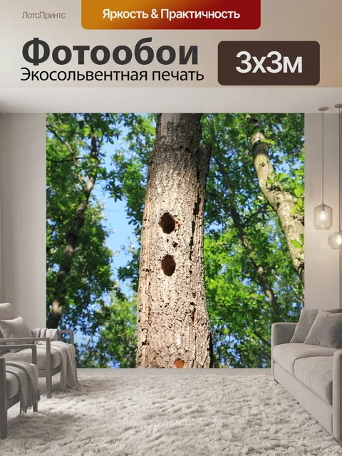 Фотообои Лес