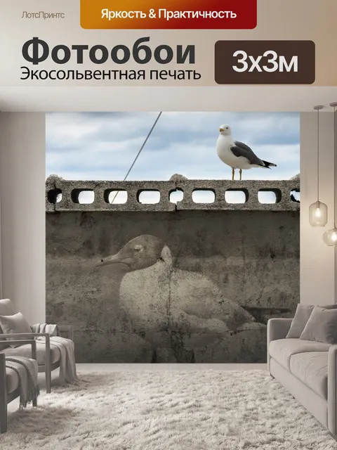 Фотообои Чайка