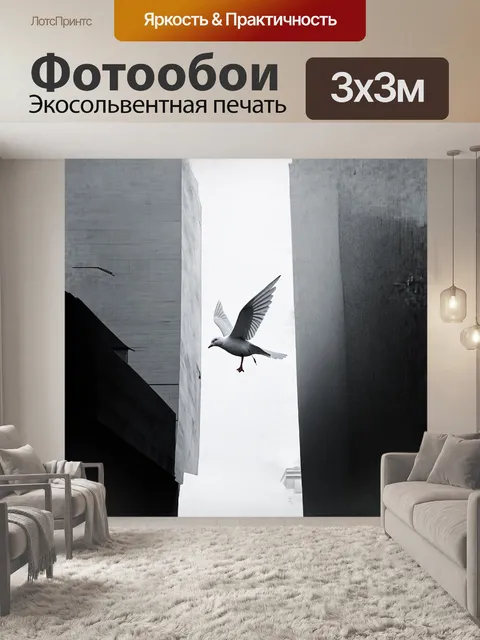 Фотообои голубь в окружении городской архитектуры