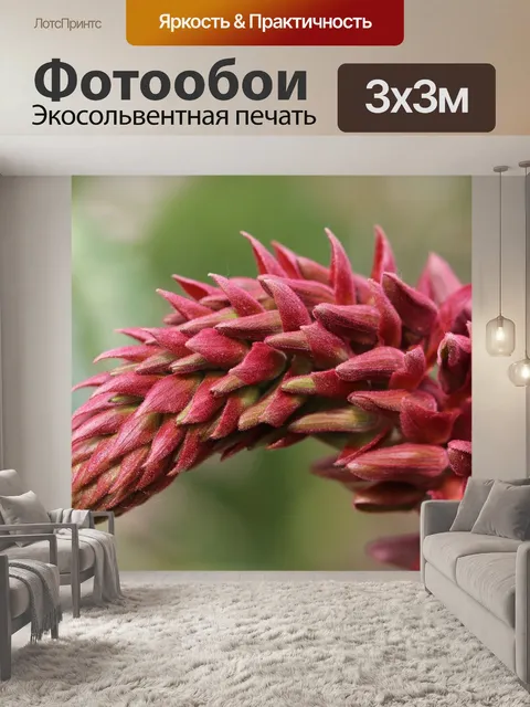 Фотообои Цветы