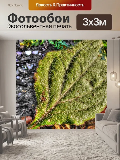 Фотообои Матовый лист