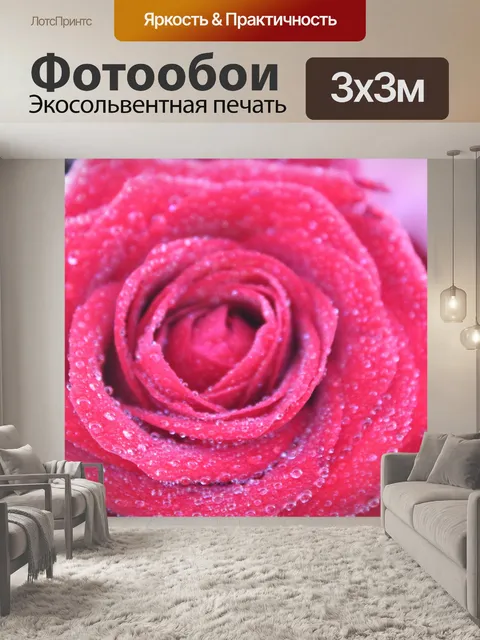 Фотообои Роза
