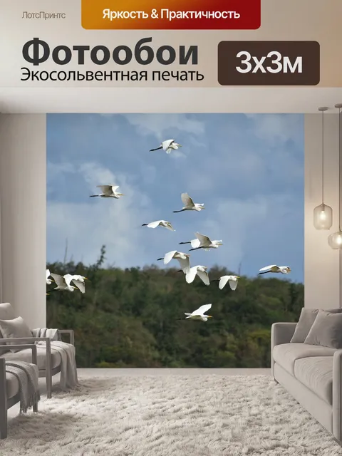 Фотообои Животное