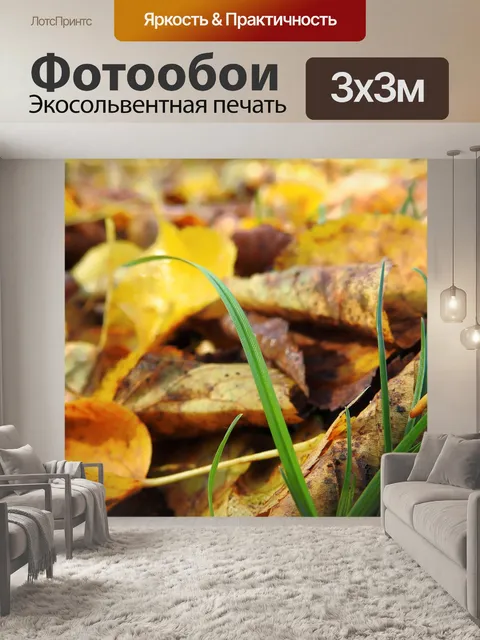 Фотообои Падение