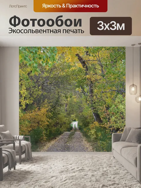 Фотообои Дорога меньше путешествовала